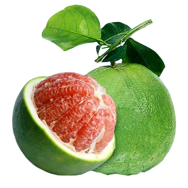 Bưởi da xanh Bến Tre (bán theo trái >1kg)