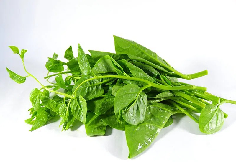 Rau Mồng Tơi (hàng xá)