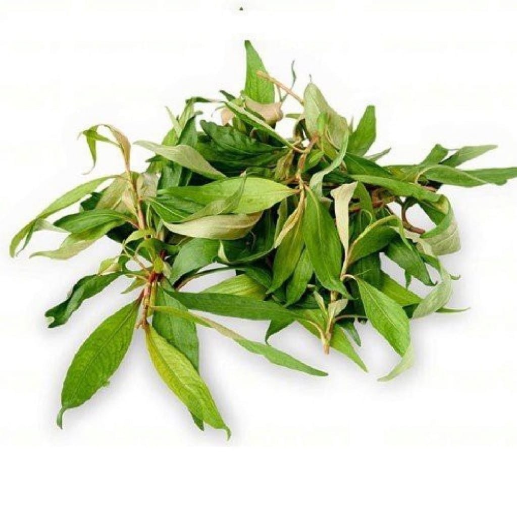 Rau răm (hàng xá)